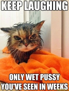 funny-cat-lolcat-wet-pussy